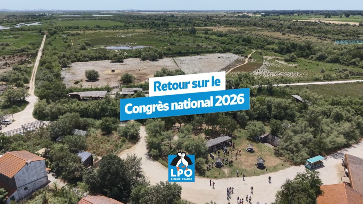 Miniature de la vidéo